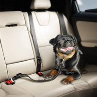 Seat Belt for Dogs with Elastic Bungee Buffer | Car Travel Accessories for Dogs Adjustible, Elastic (Black).