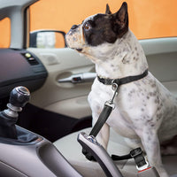 Seat Belt for Dogs with Elastic Bungee Buffer | Car Travel Accessories for Dogs Adjustible, Elastic (Black).