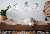 Barker Beds Headrest Extra Large Dog Bed (XL, Charcoal) – 7" Thick Soft & Comfortable Orthopedic Cushion – XL Dog Bed – Durable & Washable Microsuede Cover – Made in USA.